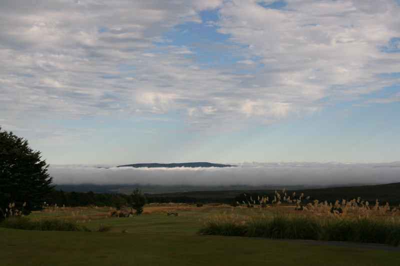 Nieuw-Zeeland 2011 - 0888